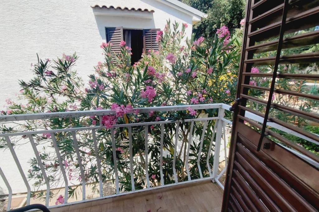 Casa Blanca, Biograd Na Moru Daire Dış mekan fotoğraf